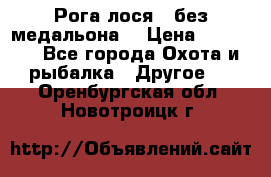 Рога лося , без медальона. › Цена ­ 15 000 - Все города Охота и рыбалка » Другое   . Оренбургская обл.,Новотроицк г.